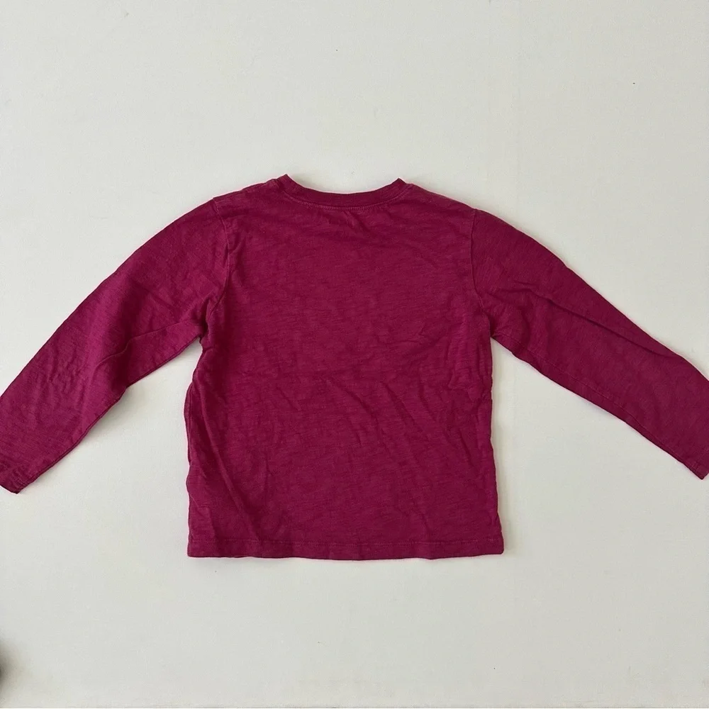 Baby Gap Girls Long Sleeve Graphic Shirt Size 5 Years